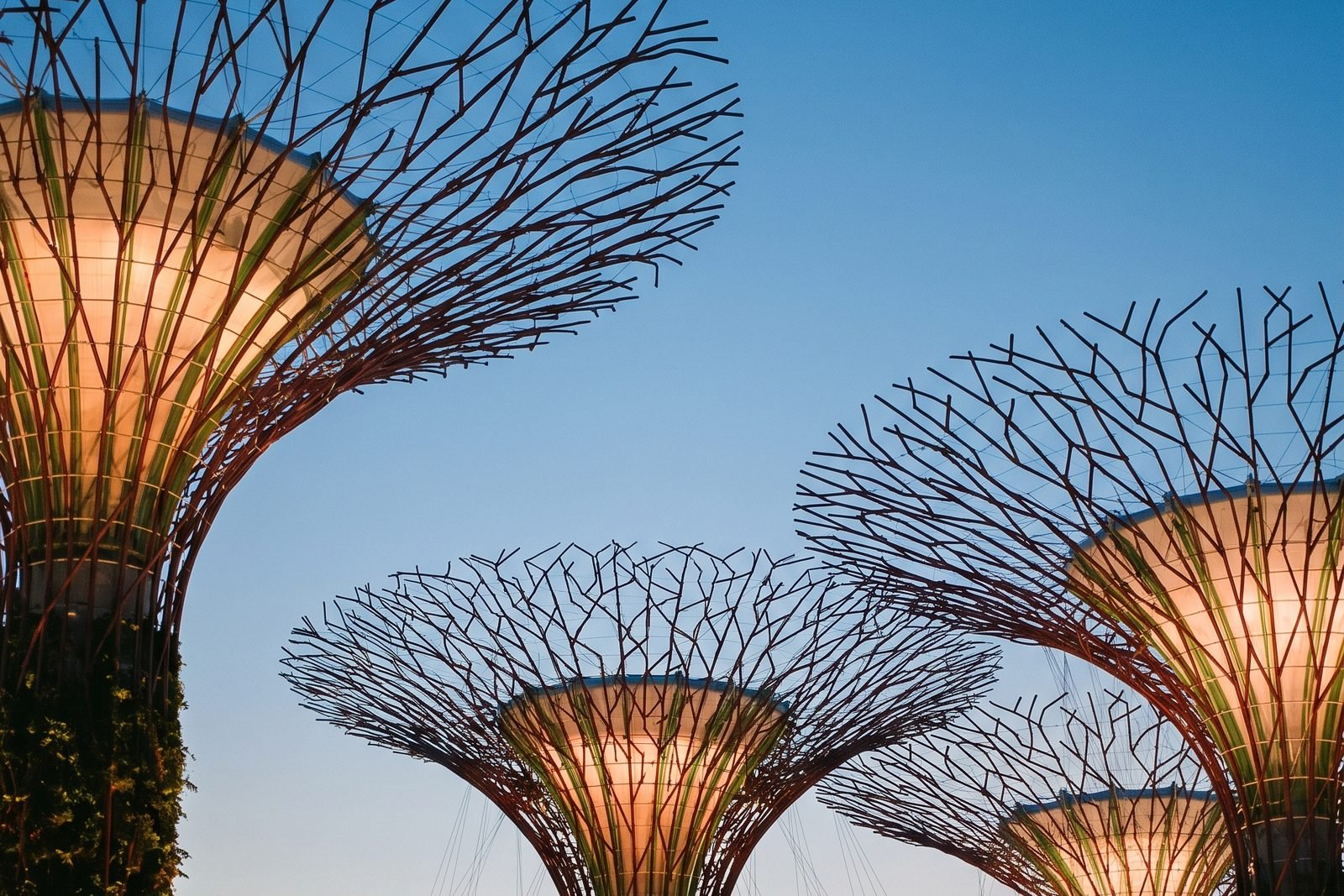 Illustration of the Supertree Grove at Gardens by the Bay at dusk.